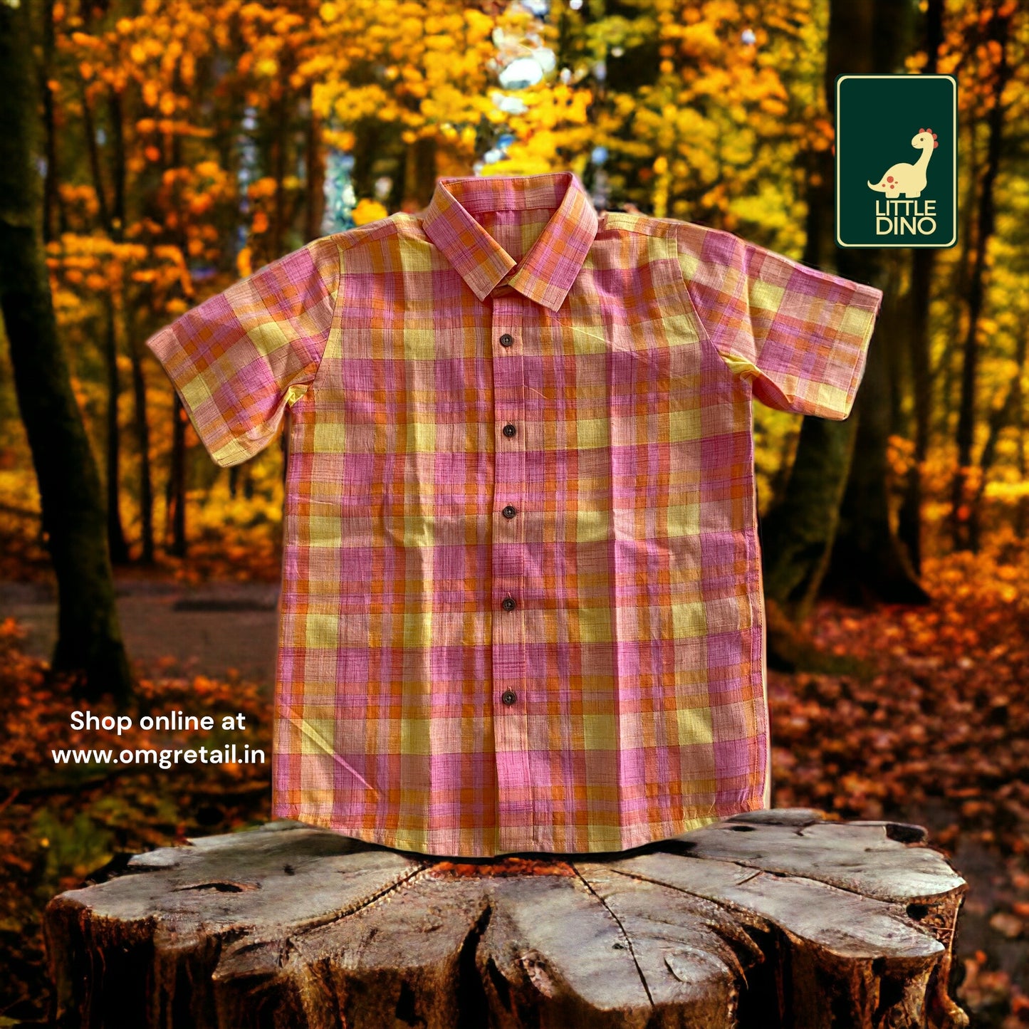 Boys Shirt2311LDBSH106